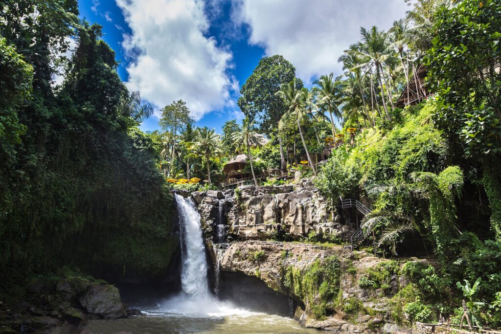 Водопад Тегенунган - Бали