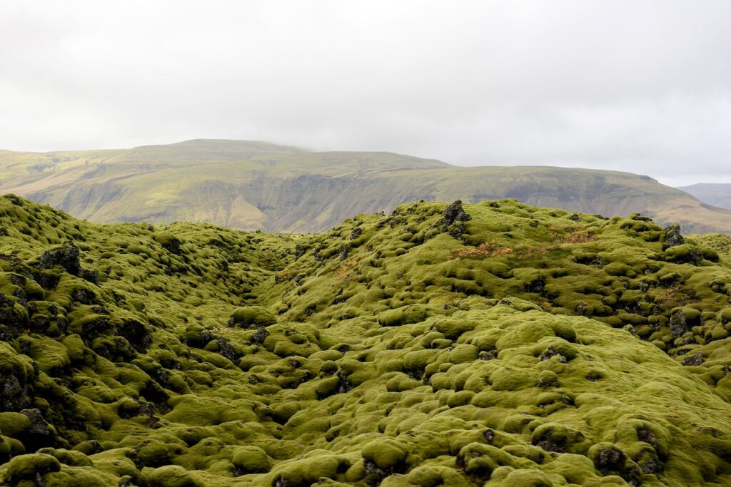 Национальный парк Ватнайёкюдль, Исландия